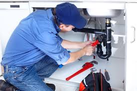 Best Garbage Disposal Repair and Installation  in Raubsville, PA